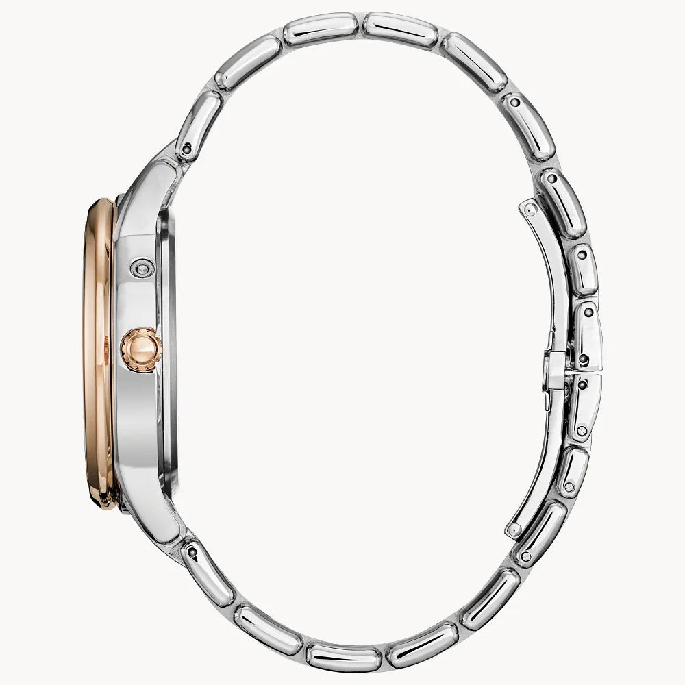 Citizen Calendrier FD0006-56D