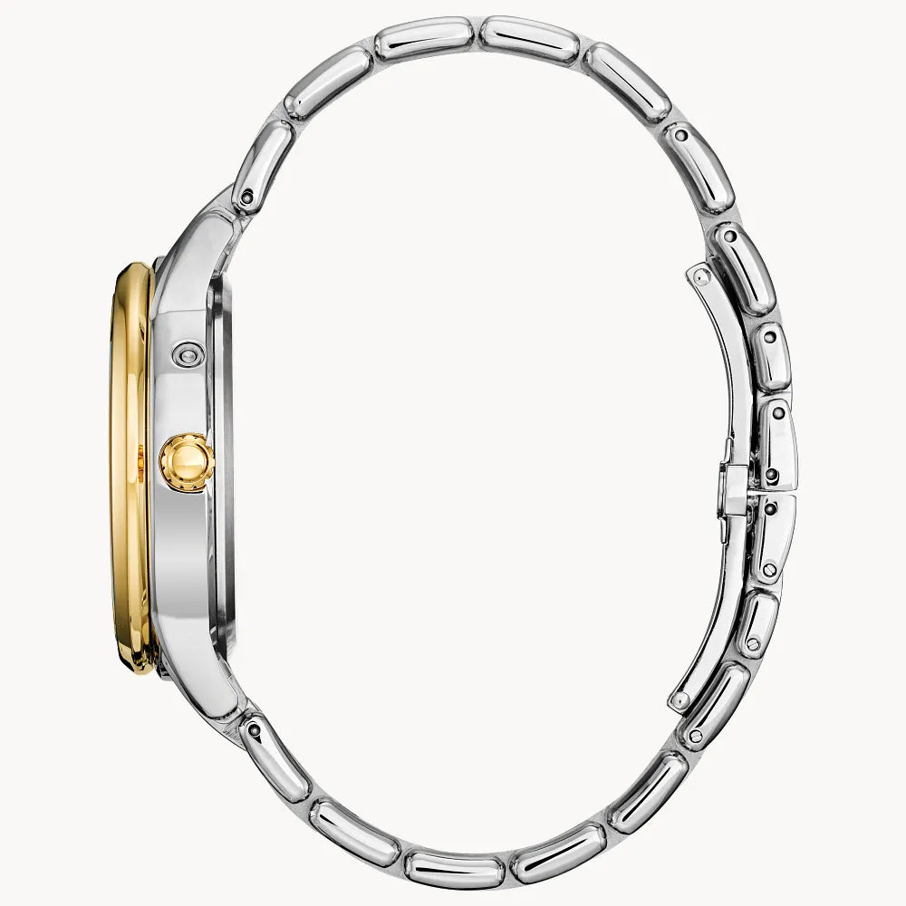 Citizen Calendrier FD0004-51D