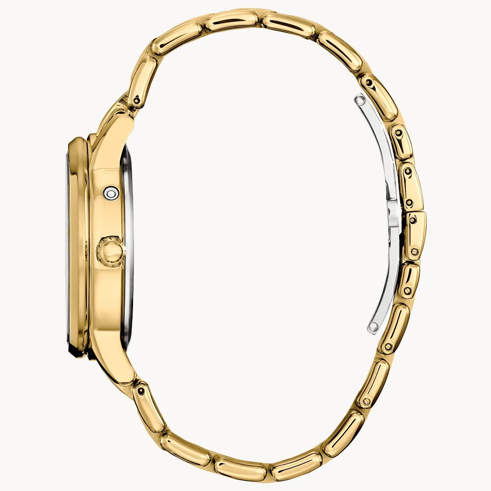 Citizen Calendrier FD0002-57D