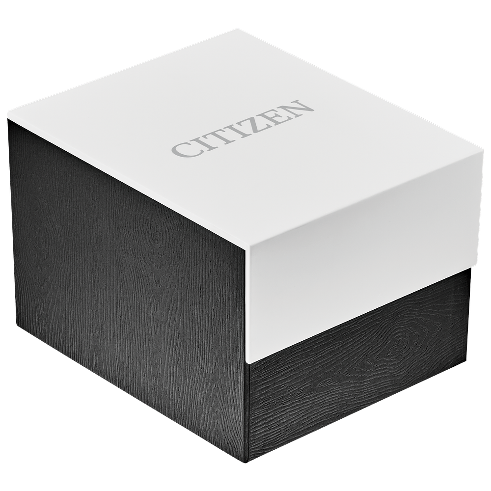 Citizen L Mae EM1067-53E