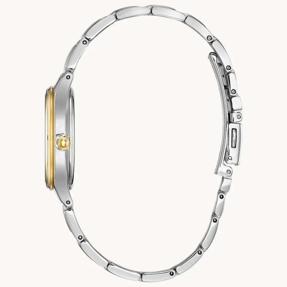 Citizen Corso FE2104-50A