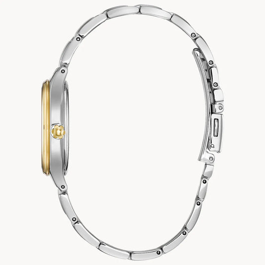 Citizen Corso FE2104-50A