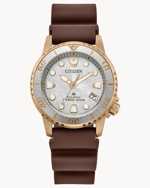 Citizen Promaster Dive EO2022-02A