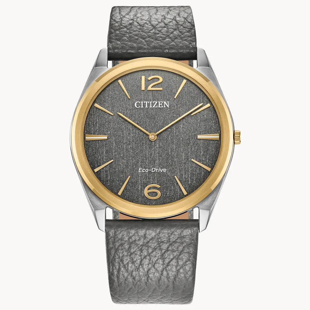 Citizen Suratto AR3124-07H