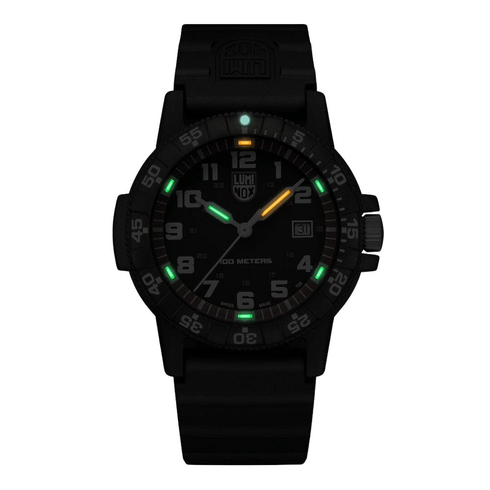 Leatherback SEA Turtle Giant XS.0335